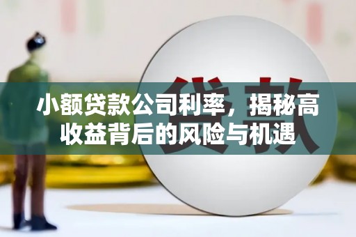长安小额贷款公司利率，揭秘高收益背后的风险与机遇