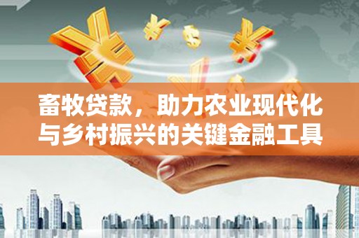 长安畜牧贷款，助力农业现代化与乡村振兴的关键金融工具