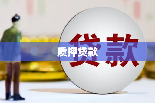 长安质押贷款