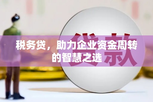 长安税务贷，助力企业资金周转的智慧之选