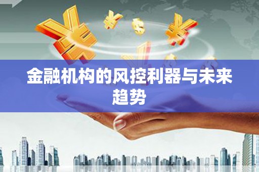 长安金融机构的风控利器与未来趋势