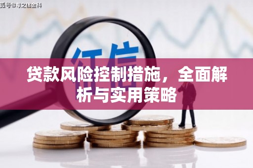 长安贷款风险控制措施，全面解析与实用策略