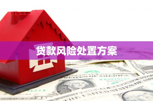 长安贷款风险处置方案