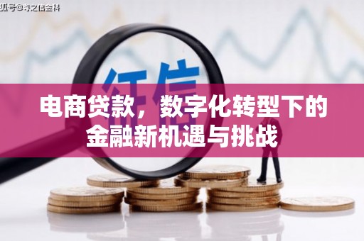 长安电商贷款，数字化转型下的金融新机遇与挑战