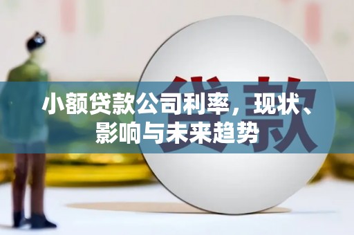 长安小额贷款公司利率，现状、影响与未来趋势
