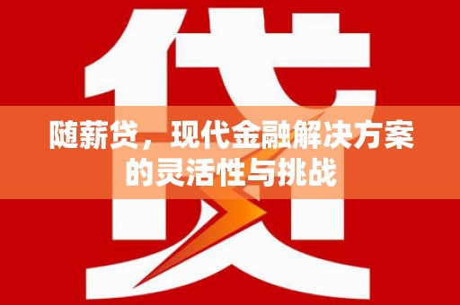 长安随薪贷，现代金融解决方案的灵活性与挑战