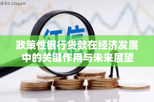 长安政策性银行贷款在经济发展中的关键作用与未来展望