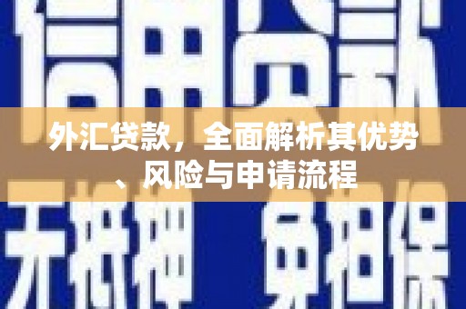 长安外汇贷款，全面解析其优势、风险与申请流程