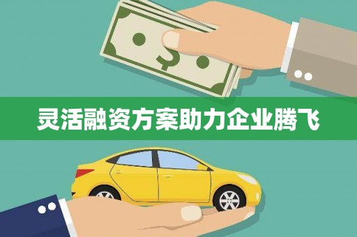 长安灵活融资方案助力企业腾飞