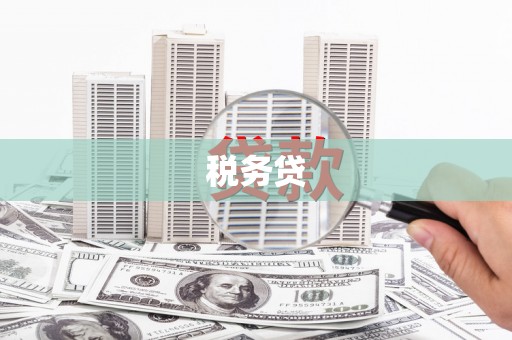 长安税务贷