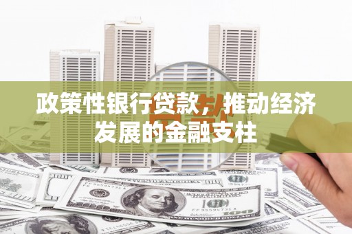 长安政策性银行贷款，推动经济发展的金融支柱