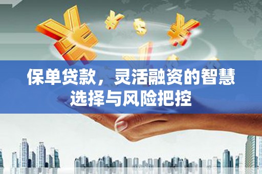 长安保单贷款，灵活融资的智慧选择与风险把控