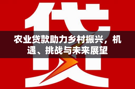 长安农业贷款助力乡村振兴，机遇、挑战与未来展望