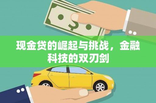长安现金贷的崛起与挑战，金融科技的双刃剑