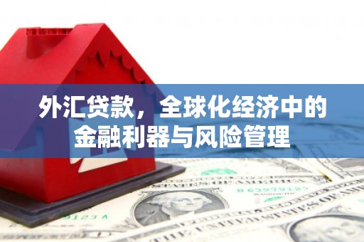 长安外汇贷款，全球化经济中的金融利器与风险管理