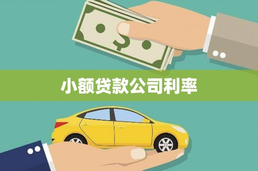 长安小额贷款公司利率