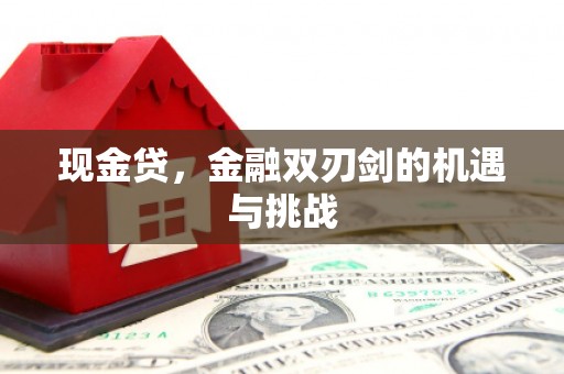 长安现金贷，金融双刃剑的机遇与挑战