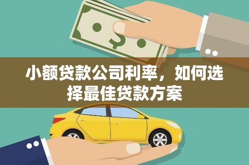 长安小额贷款公司利率，如何选择最佳贷款方案