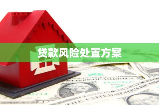 长安贷款风险处置方案