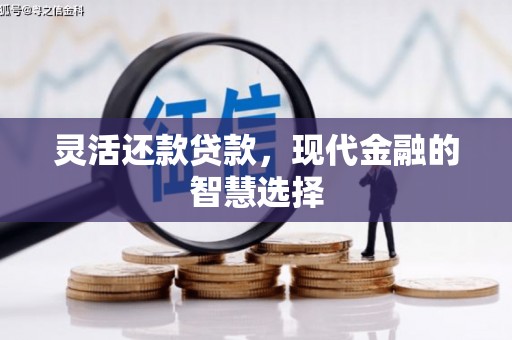 长安灵活还款贷款，现代金融的智慧选择