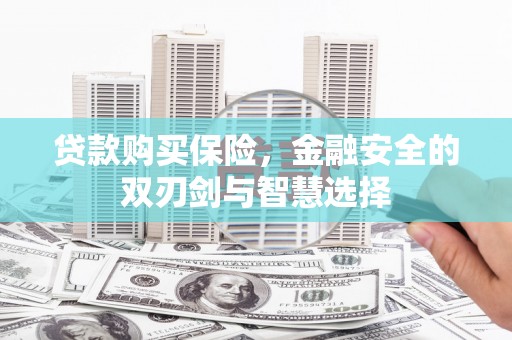 长安贷款购买保险，金融安全的双刃剑与智慧选择