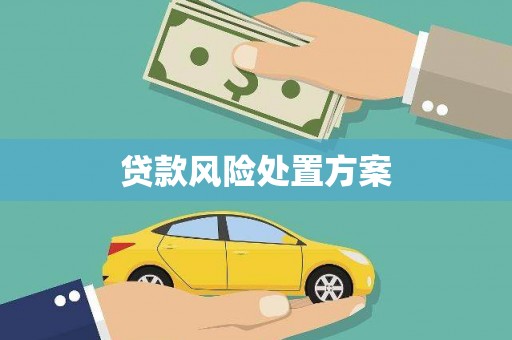 长安贷款风险处置方案