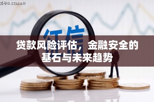 长安贷款风险评估，金融安全的基石与未来趋势
