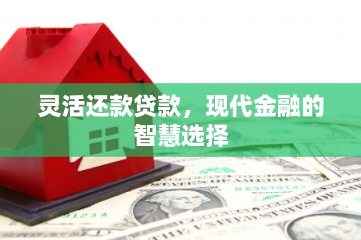 长安灵活还款贷款，现代金融的智慧选择