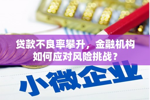 长安贷款不良率攀升，金融机构如何应对风险挑战？