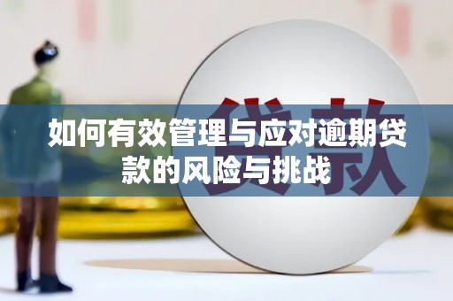 长安如何有效管理与应对逾期贷款的风险与挑战