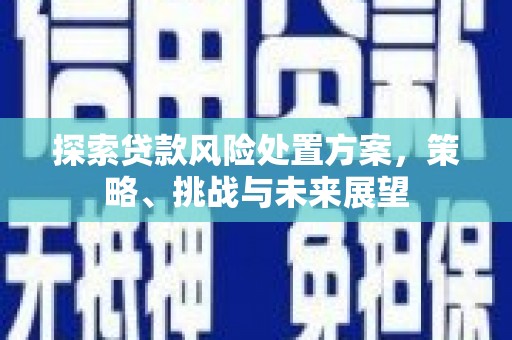 长安探索贷款风险处置方案，策略、挑战与未来展望