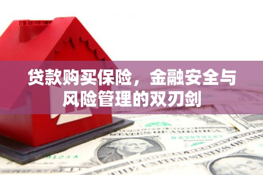 长安贷款购买保险，金融安全与风险管理的双刃剑
