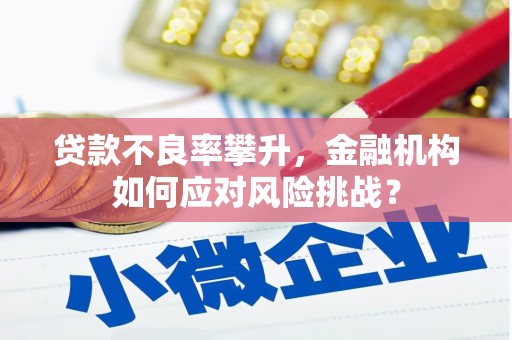 长安贷款不良率攀升，金融机构如何应对风险挑战？