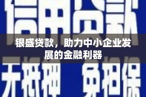 长安银盛贷款，助力中小企业发展的金融利器