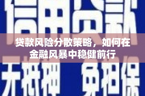 长安贷款风险分散策略，如何在金融风暴中稳健前行