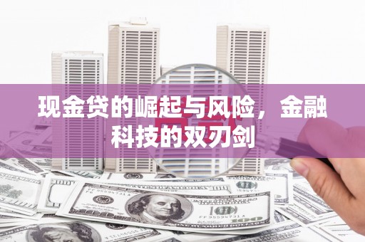 长安现金贷的崛起与风险，金融科技的双刃剑