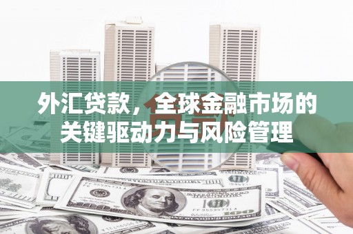 长安外汇贷款，全球金融市场的关键驱动力与风险管理
