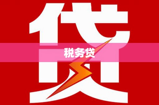 长安税务贷