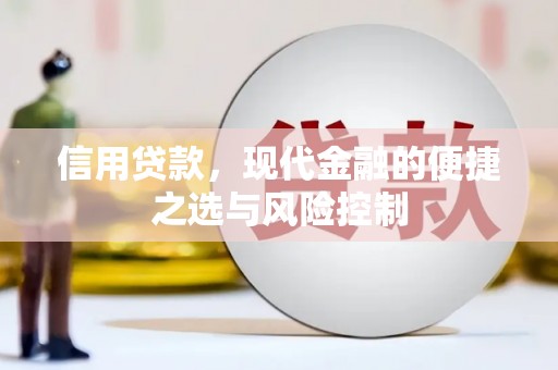 长安信用贷款，现代金融的便捷之选与风险控制