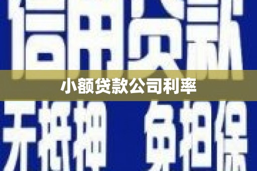 长安小额贷款公司利率