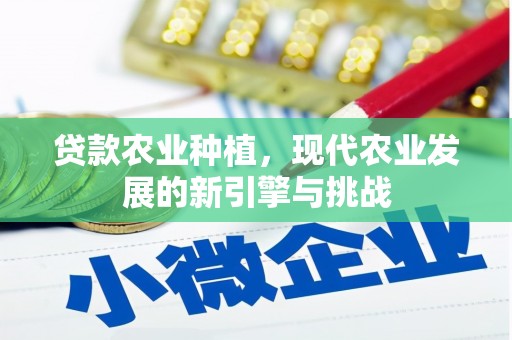 长安贷款农业种植，现代农业发展的新引擎与挑战