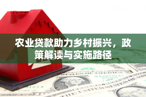 长安农业贷款助力乡村振兴，政策解读与实施路径