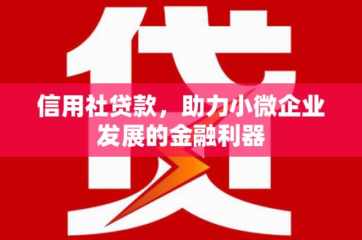 长安信用社贷款，助力小微企业发展的金融利器