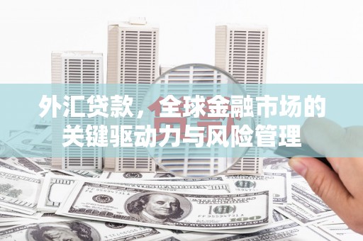 长安外汇贷款，全球金融市场的关键驱动力与风险管理