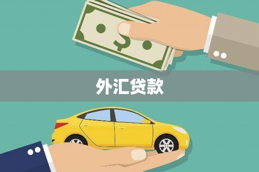 长安外汇贷款