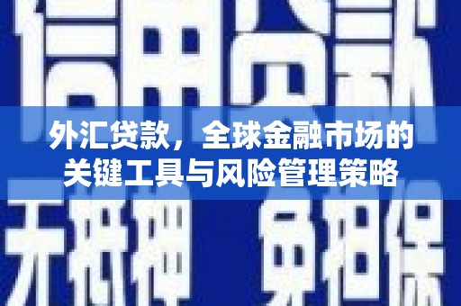长安外汇贷款，全球金融市场的关键工具与风险管理策略