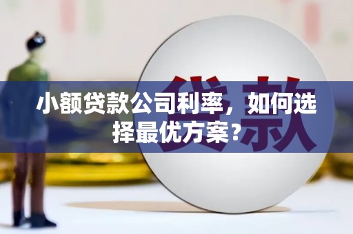 长安小额贷款公司利率，如何选择最优方案？