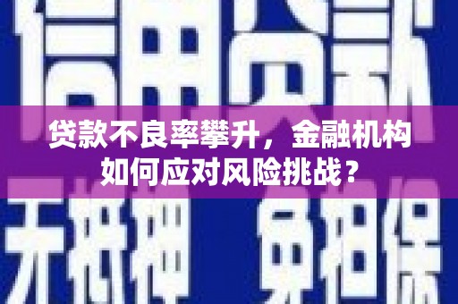 长安贷款不良率攀升，金融机构如何应对风险挑战？
