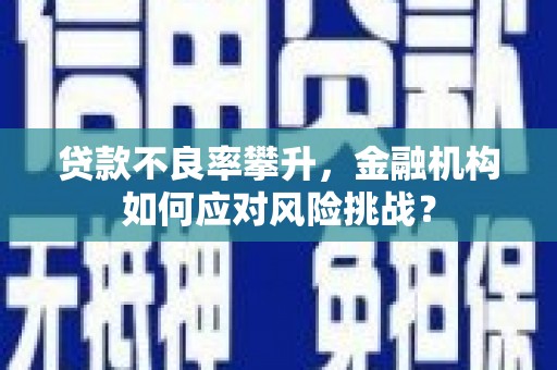 长安贷款不良率攀升，金融机构如何应对风险挑战？