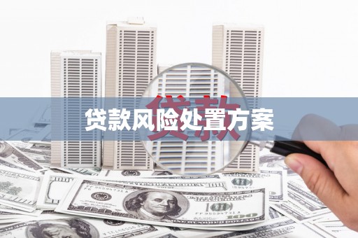 长安贷款风险处置方案